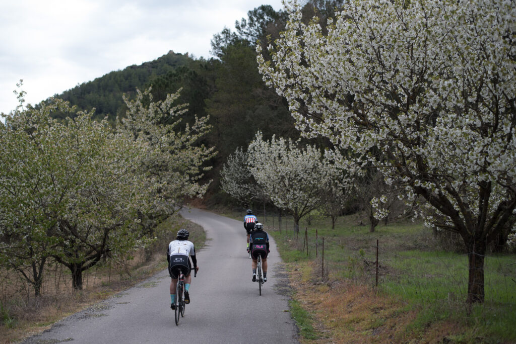 Castellón Cycling