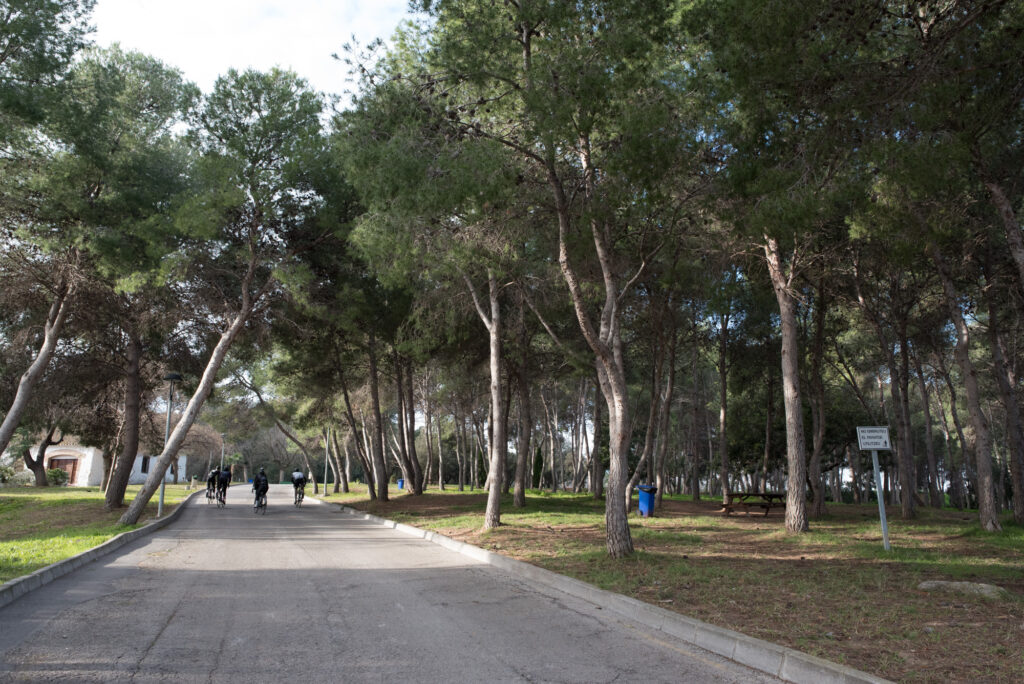 Castellón Cycling