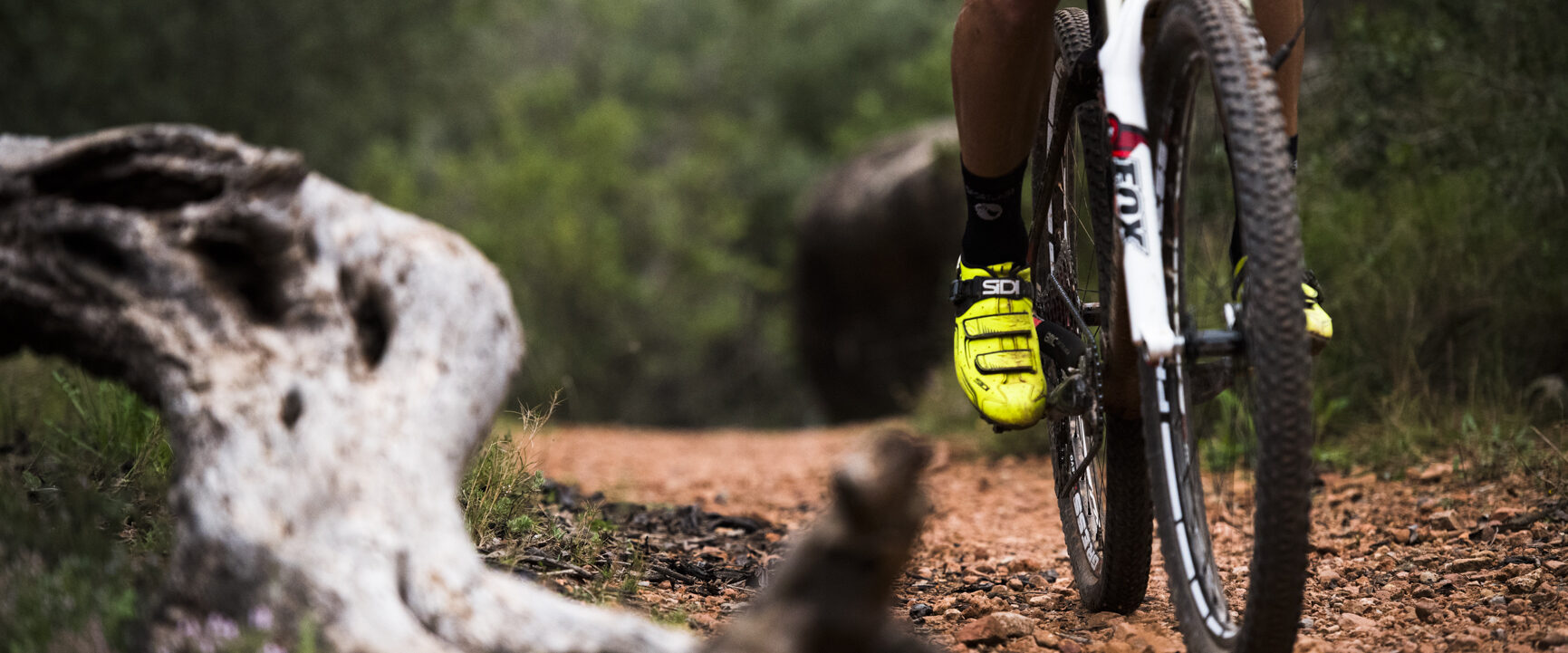 Castellón Cycling