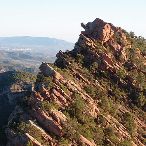 Castellón Cycling