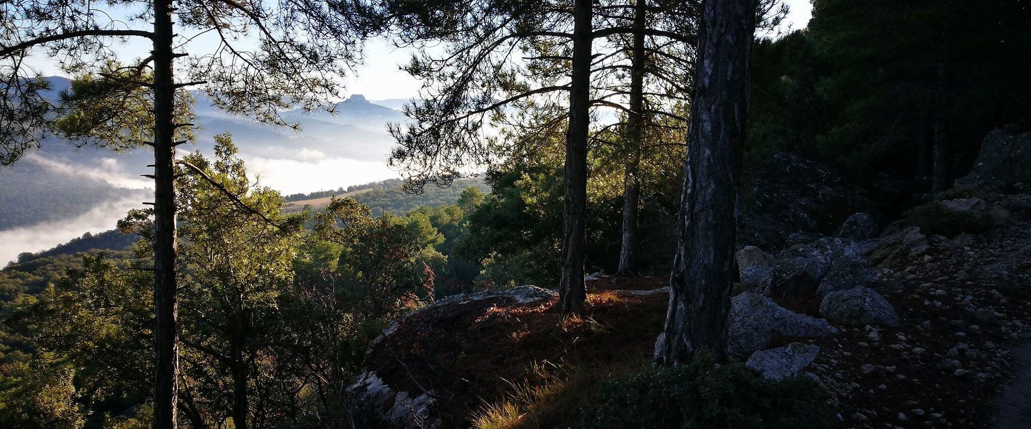 Castellón Cycling