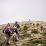 Gigante de piedra