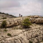 Gigante de piedra